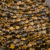Strands of faceted tiger's eye star beads with silky golden stripes and a few blue-gray stars