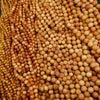 Cedar Wood Beads  Natural Aromatherapy Beads– Tejas Beads