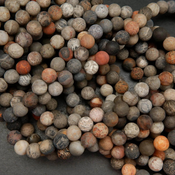 multicolor fossil coral beads with flowerlike patterns.