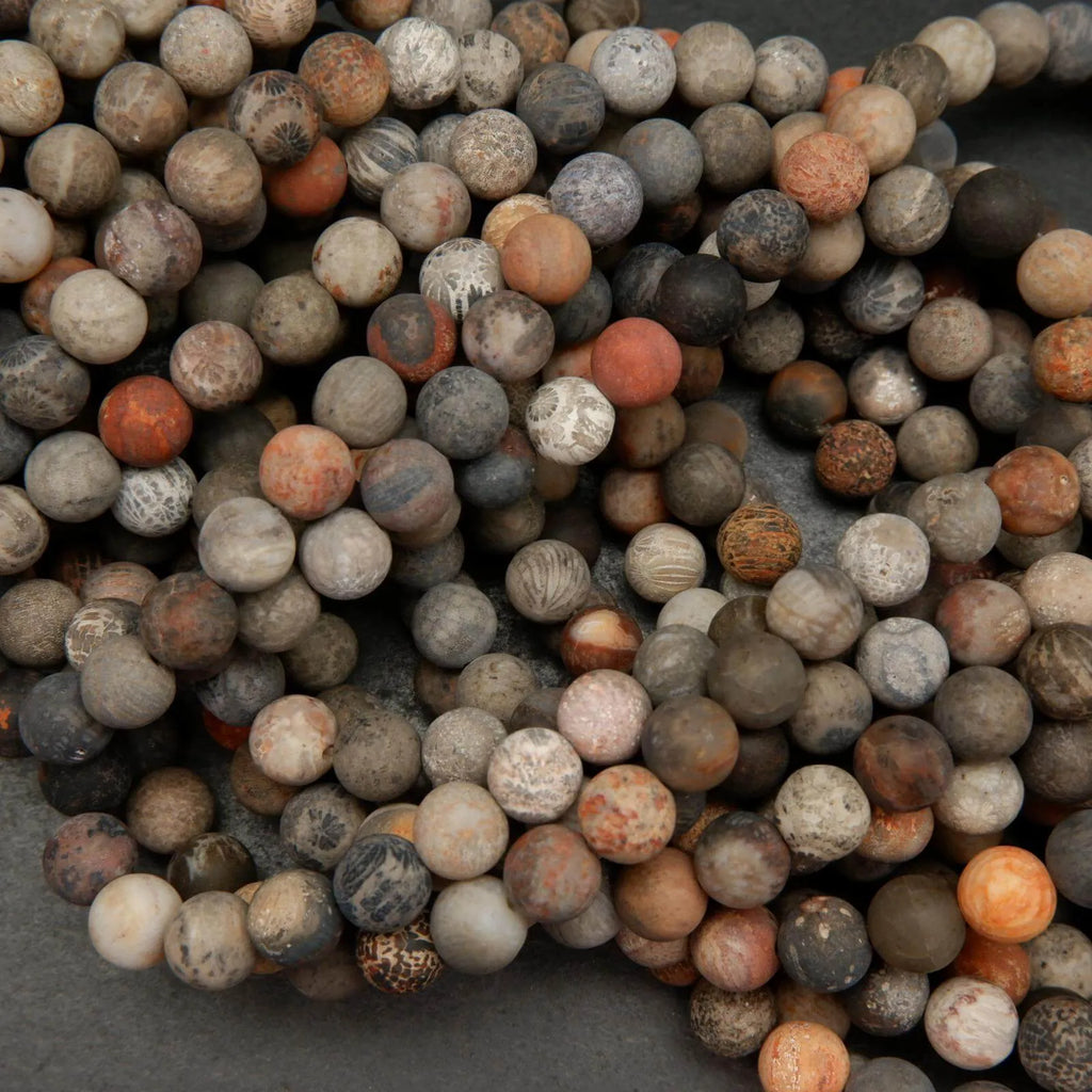 coral bead plant seeds Chrysanthemum Fossil Coral · Matte · Round · 4mm, 6mm, 8mm, 10mm | Bead