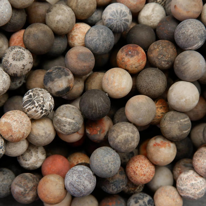 multicolor fossil coral beads with flowerlike patterns.