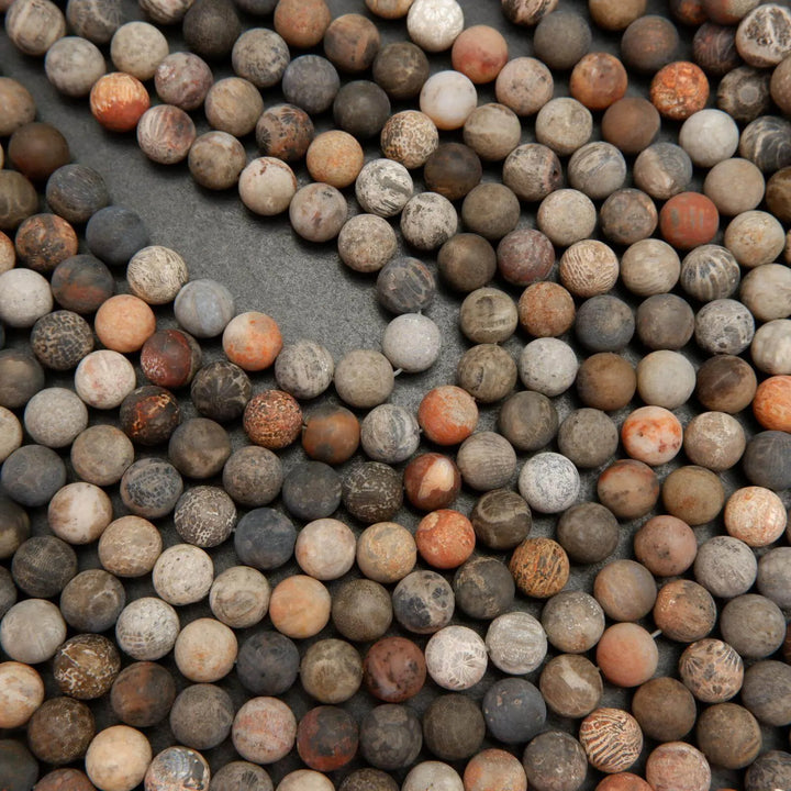 multicolor fossil coral beads with flowerlike patterns.