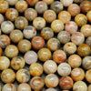 Yellow Crazy Lace Agate Beads.