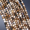Beige Petrified Wood Polished Gemstone Beads
