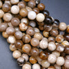 Beige Petrified Wood Polished Gemstone Beads