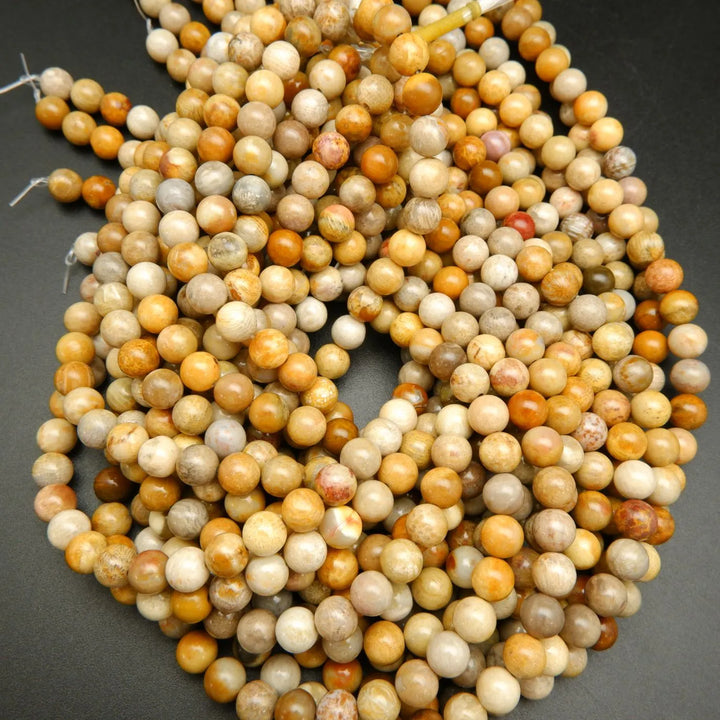 Indonesian Fossil Coral · Smooth · Round · 4mm, 6mm, 8mm, 10mm, Bead, Tejas Beads