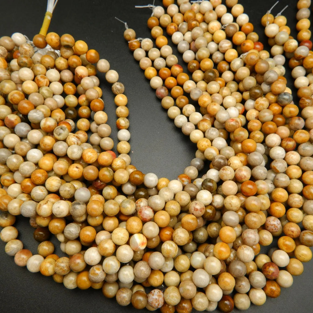 Indonesian Fossil Coral · Smooth · Round · 4mm, 6mm, 8mm, 10mm, Bead, Tejas Beads