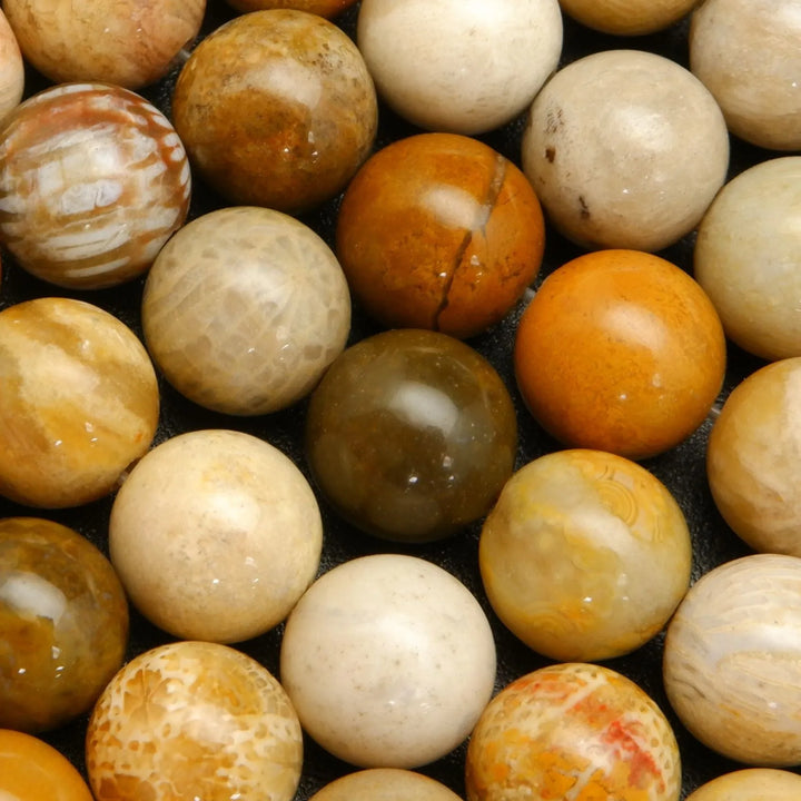 Indonesian Fossil Coral · Smooth · Round · 4mm, 6mm, 8mm, 10mm, Bead, Tejas Beads