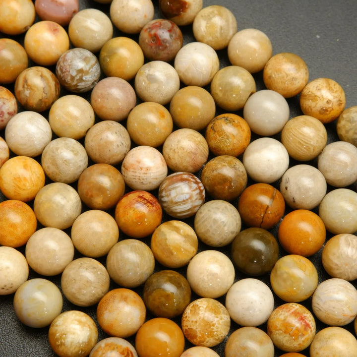 Indonesian Fossil Coral · Smooth · Round · 4mm, 6mm, 8mm, 10mm, Bead, Tejas Beads