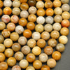 Indonesian Fossil Coral · Smooth · Round · 4mm, 6mm, 8mm, 10mm, Bead, Tejas Beads