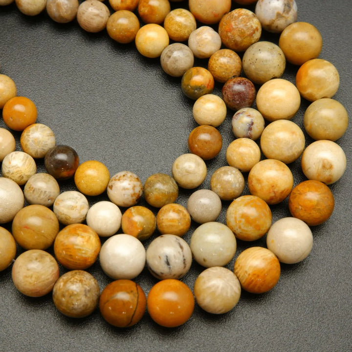 Indonesian Fossil Coral · Smooth · Round · 4mm, 6mm, 8mm, 10mm, Bead, Tejas Beads