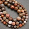 Petrified Wood · Smooth · Round · 8mm, 10mm, Bead, Tejas Beads