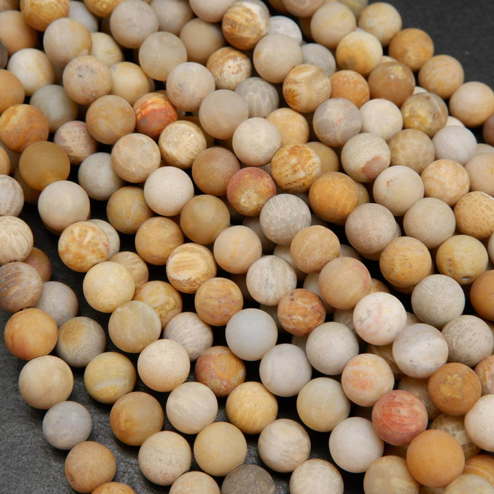 Fossil coral beads.