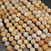 Fossil coral beads.