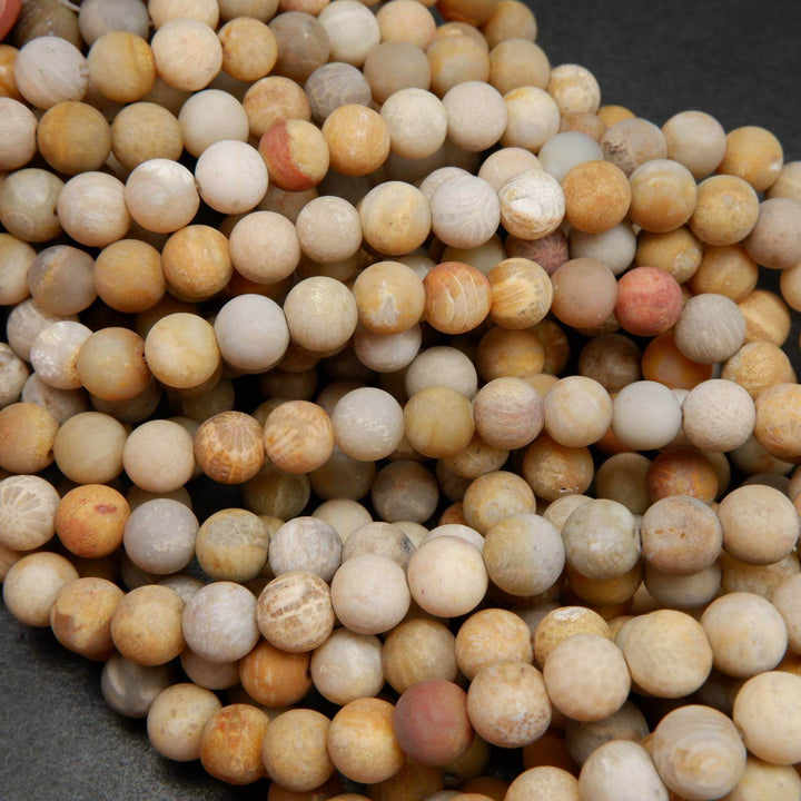 Fossil coral beads.