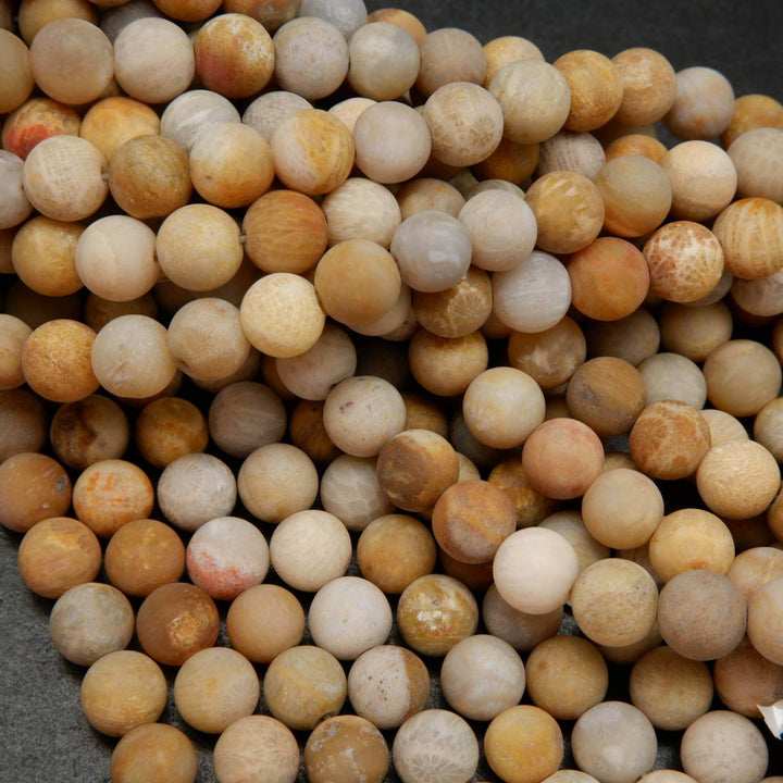 Fossil coral beads.