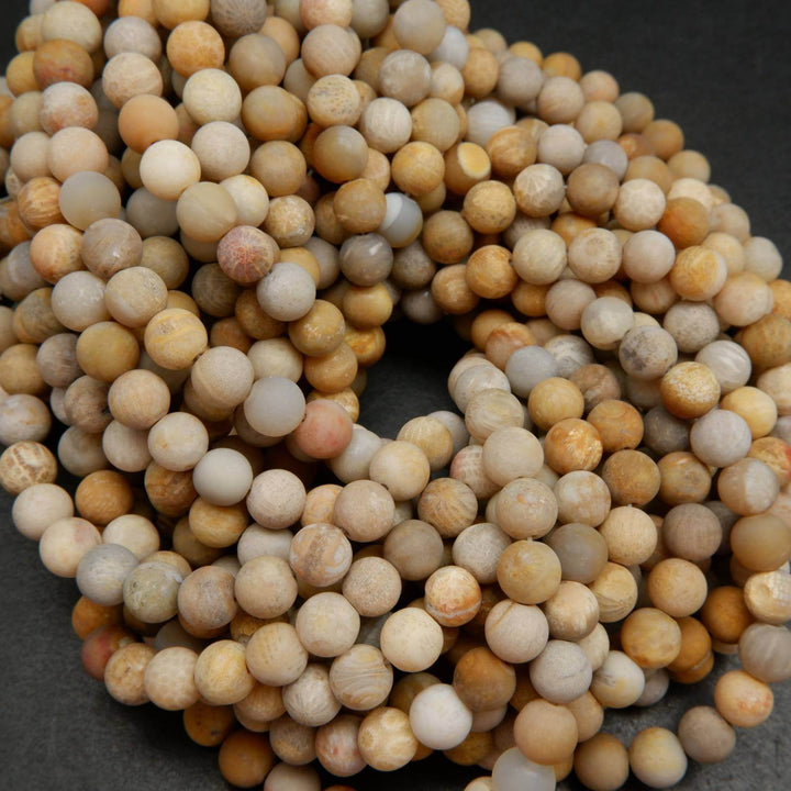 Fossil coral beads.
