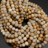 Fossil coral beads.