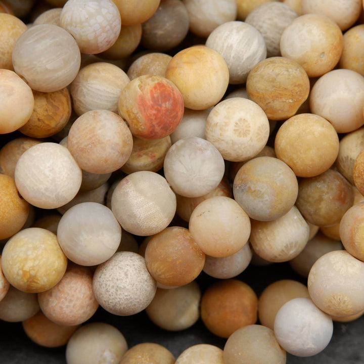 Fossil coral beads.