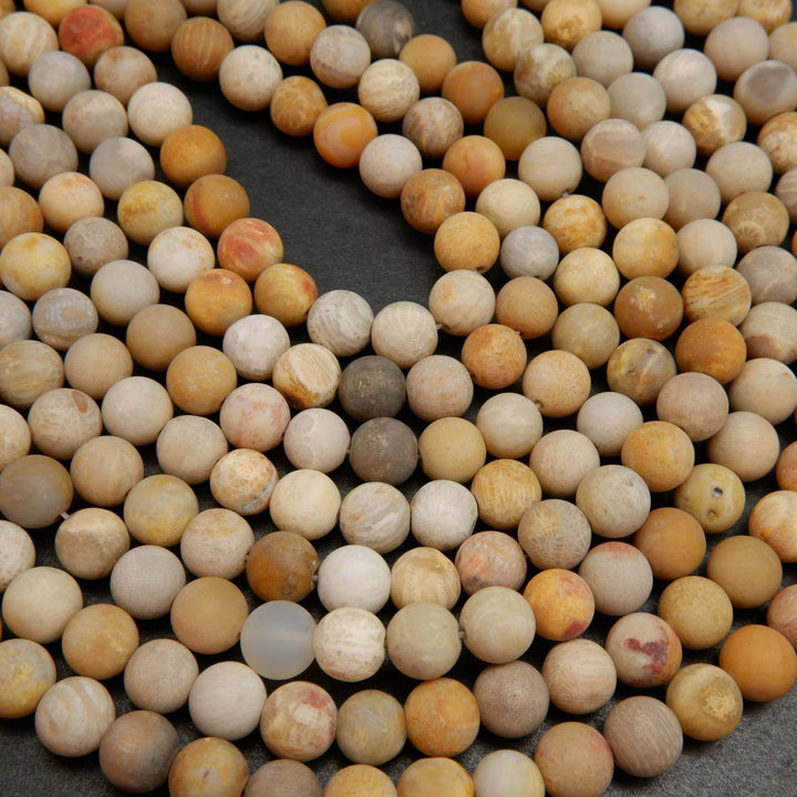 Fossil coral beads.