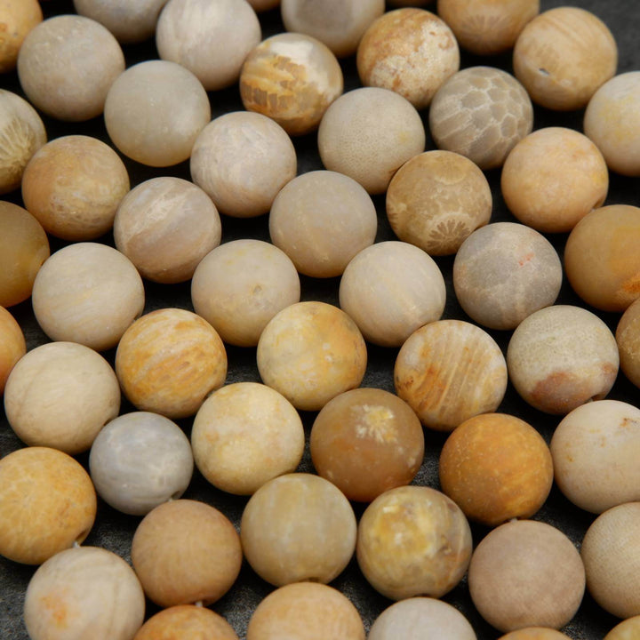 Fossil coral beads.