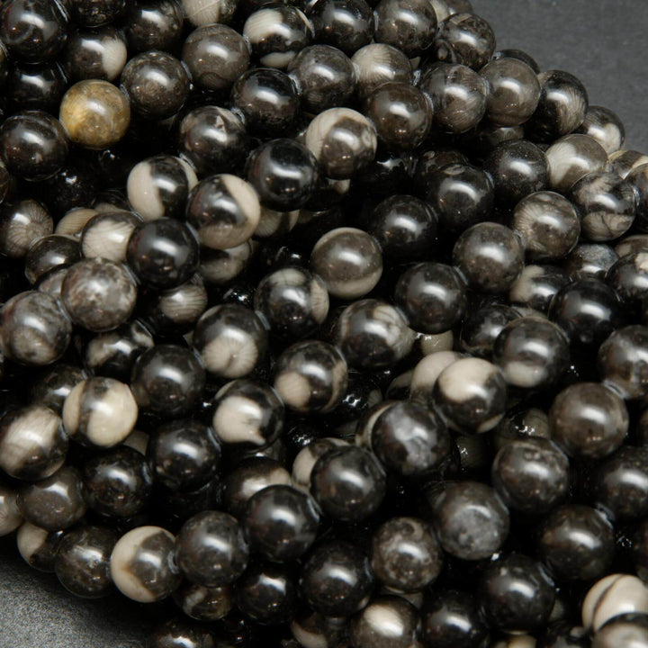 Orthoceras fossil beads.