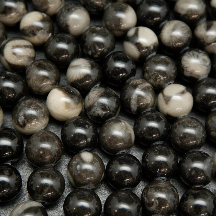 Orthoceras fossil beads.