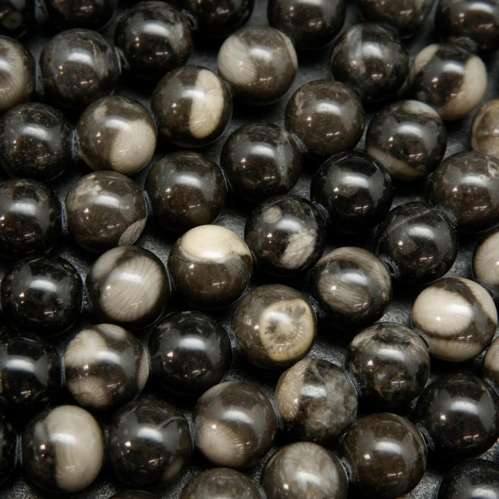 Orthoceras fossil beads.