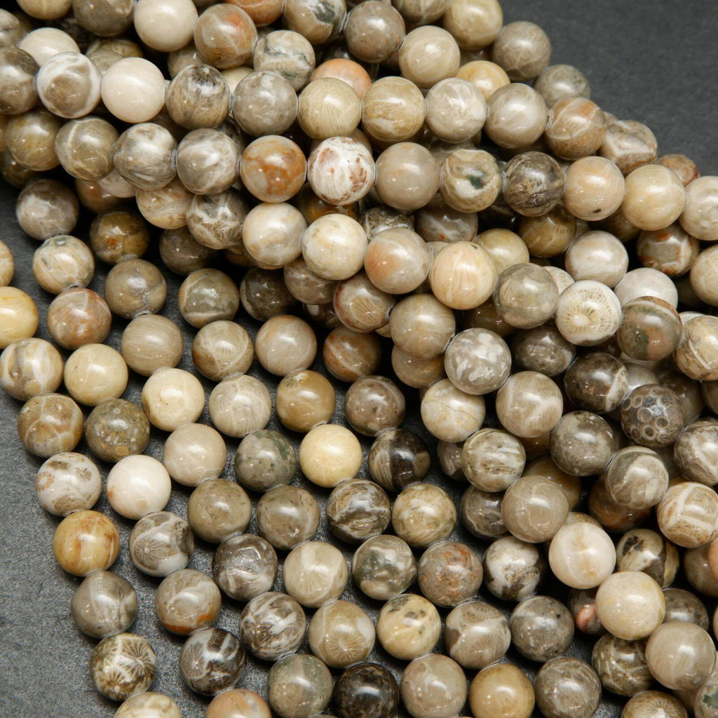 Petoskey Fossil Coral Beads.