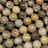 Petoskey Fossil Coral Beads.