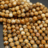 Faceted picture jasper beads.